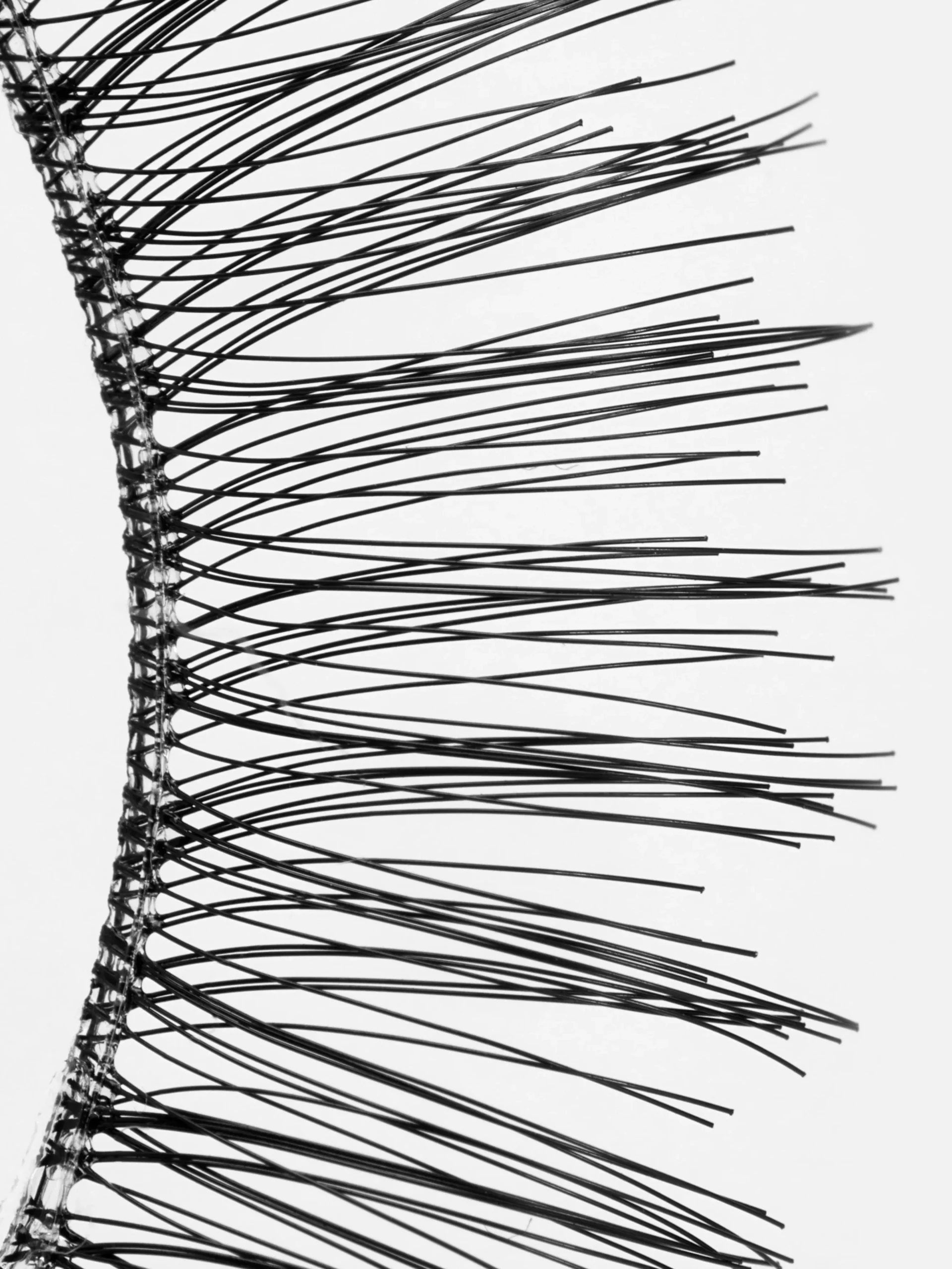 Faux Cils PS...