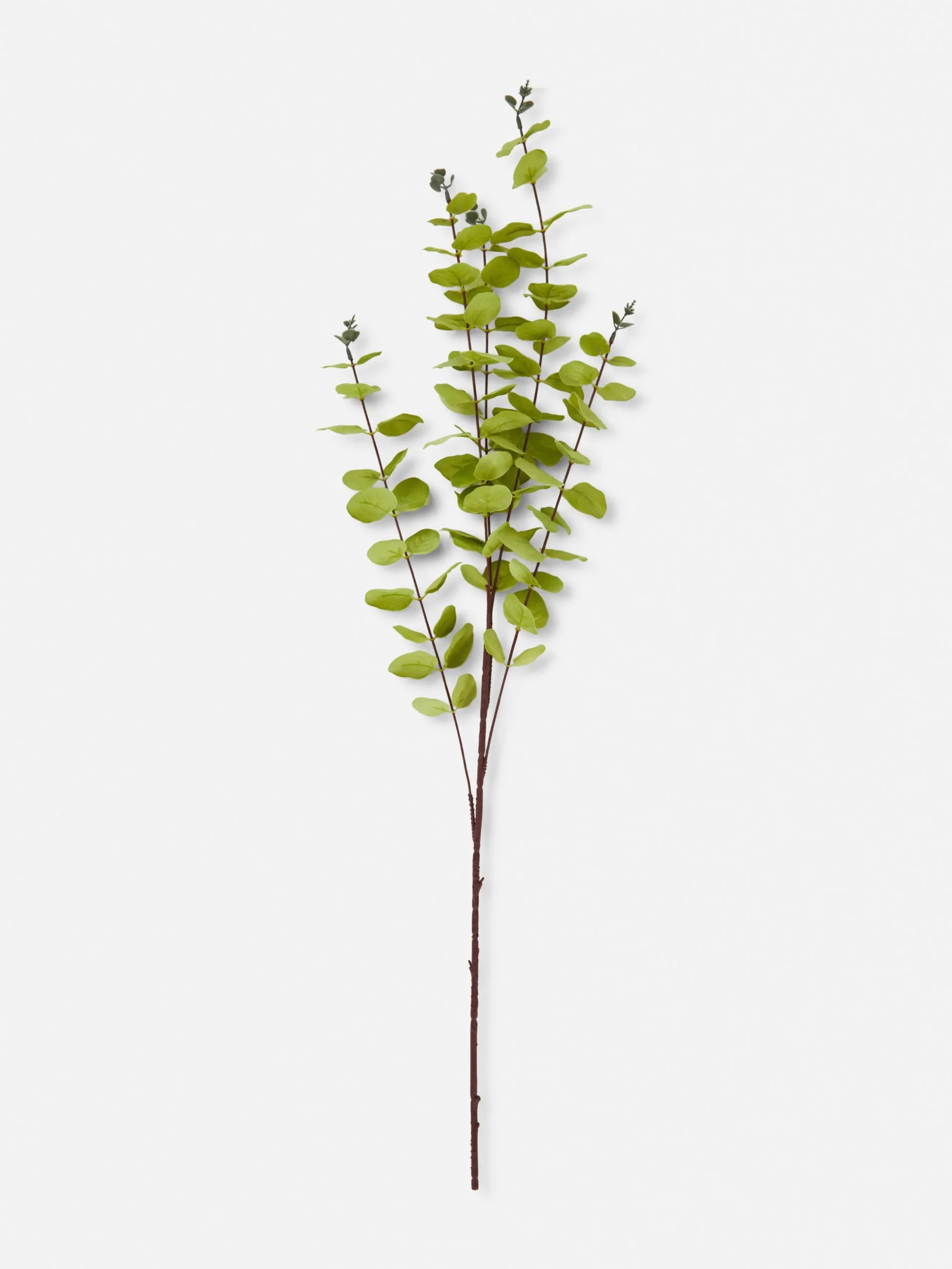Faux Eucalyptus à Tige Unique