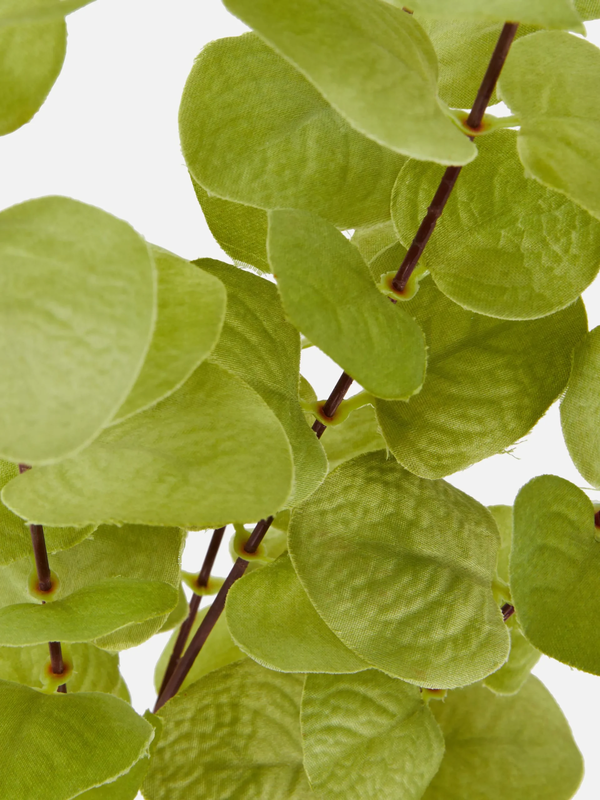 Faux Eucalyptus à Tige Unique