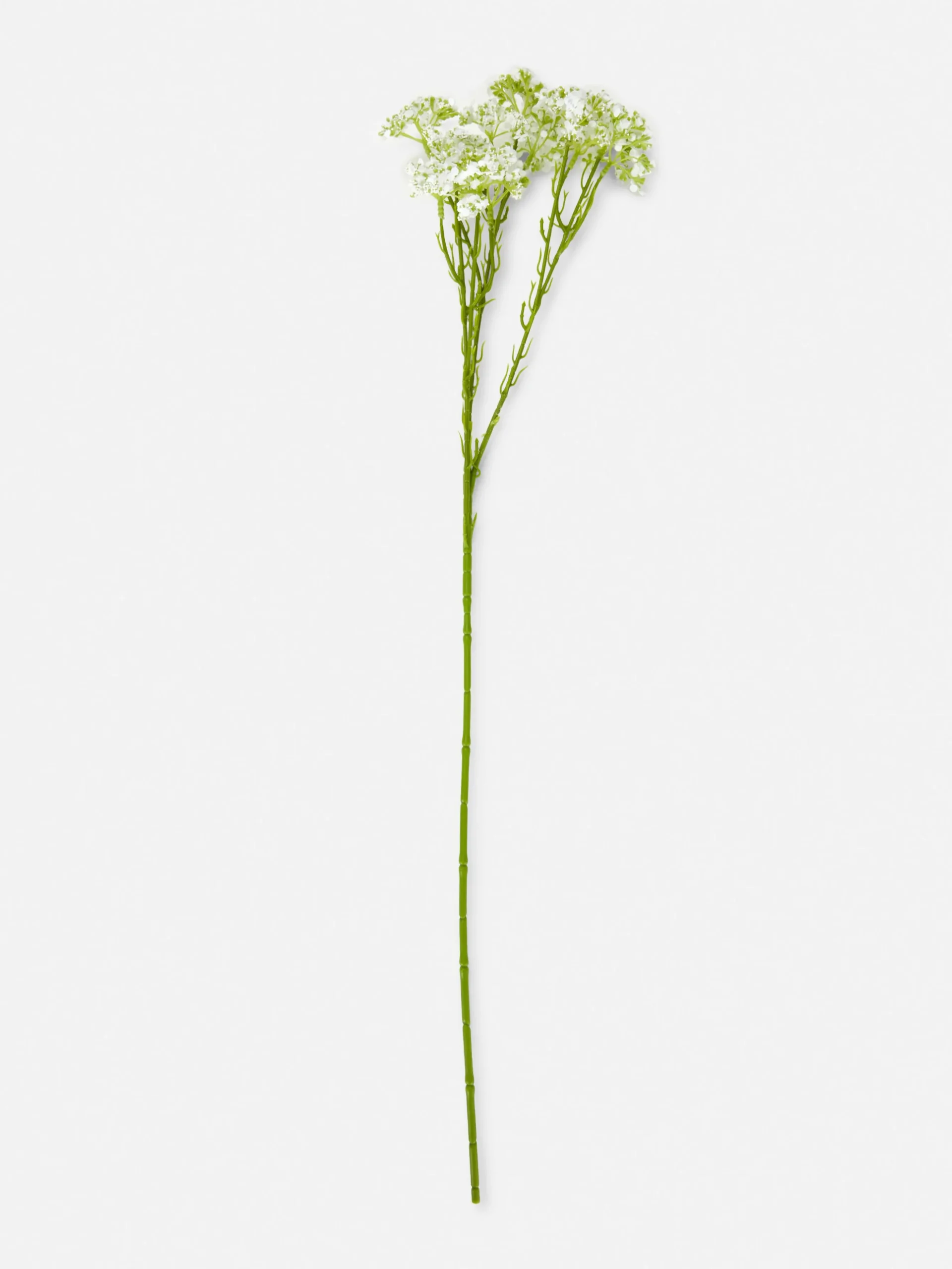 Gypsophile Artificielle Une Tige