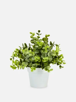 Petit Eucalyptus Artificiel