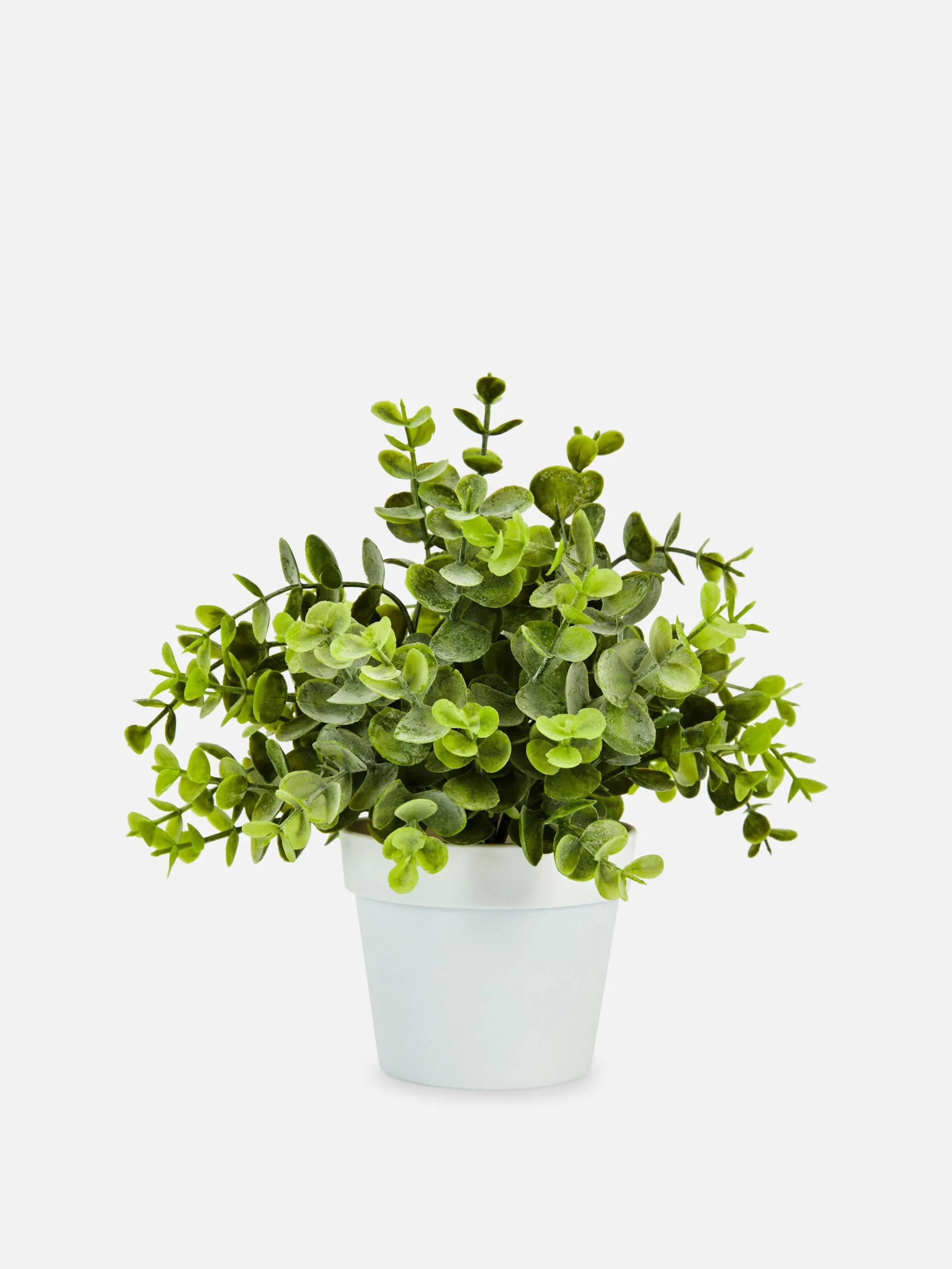 Petit Eucalyptus Artificiel