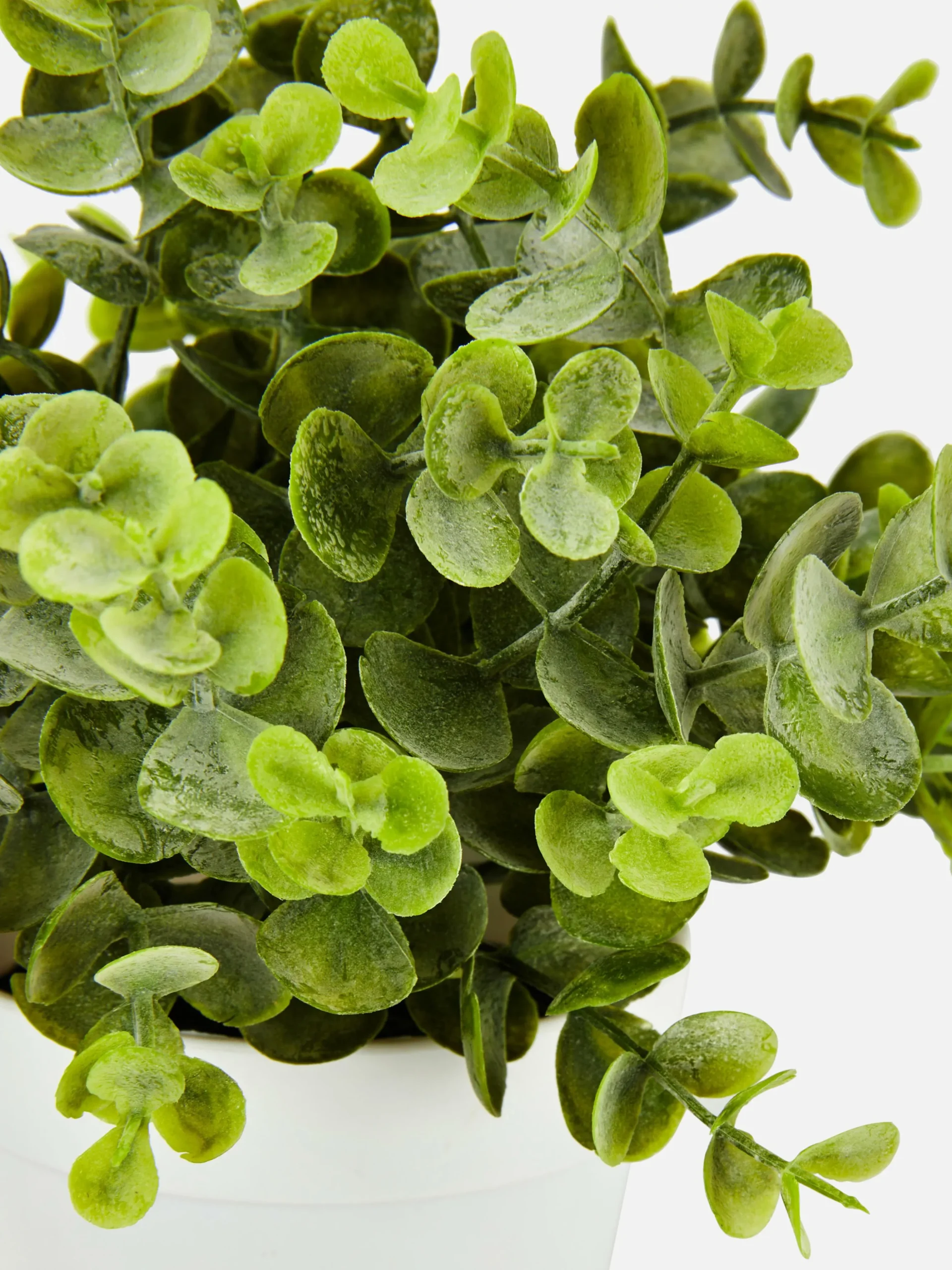 Petit Eucalyptus Artificiel