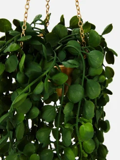 Plante Rampante Artificielle Dans Jardinière