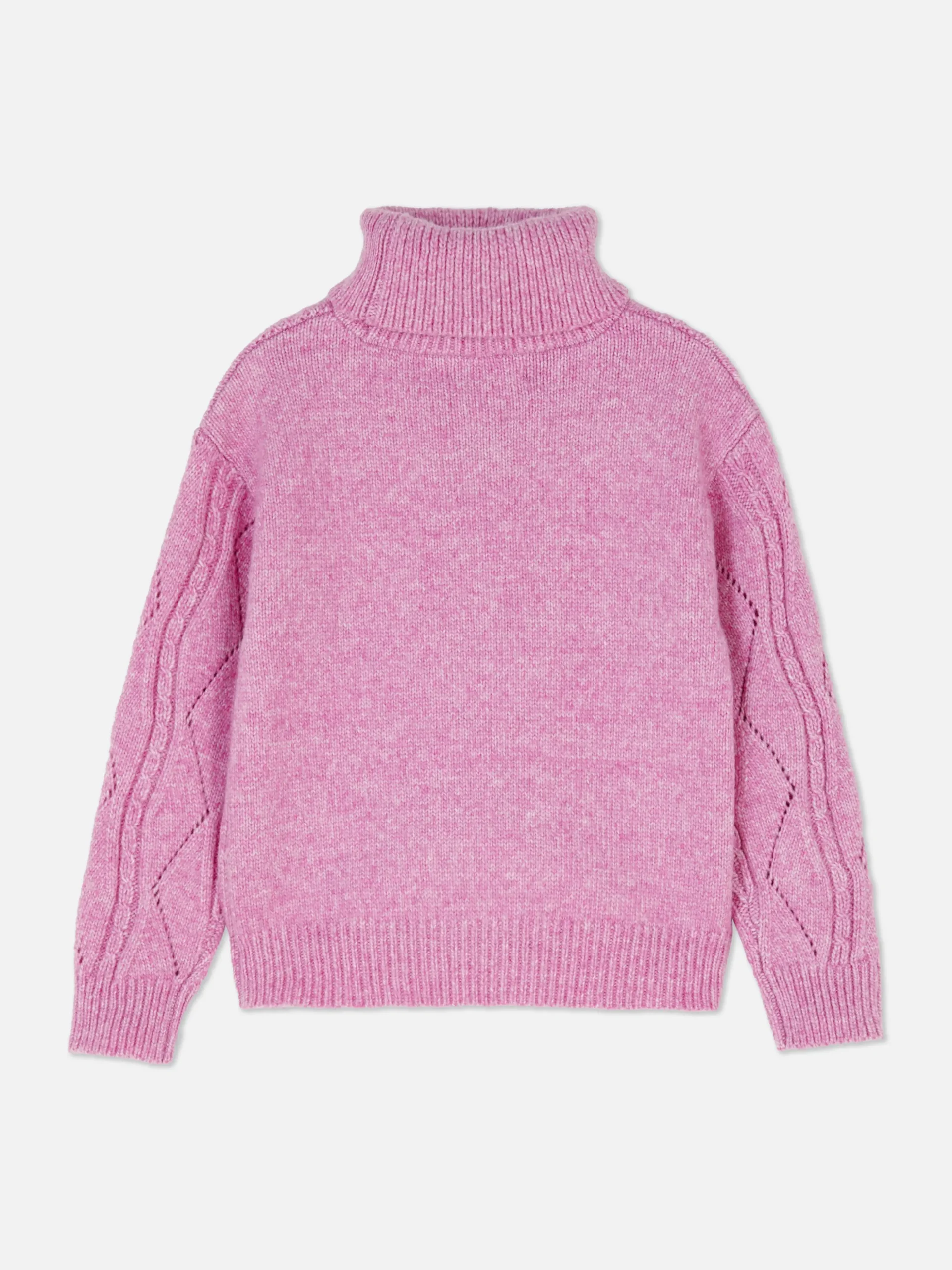 Pull Tricoté à Col Roulé