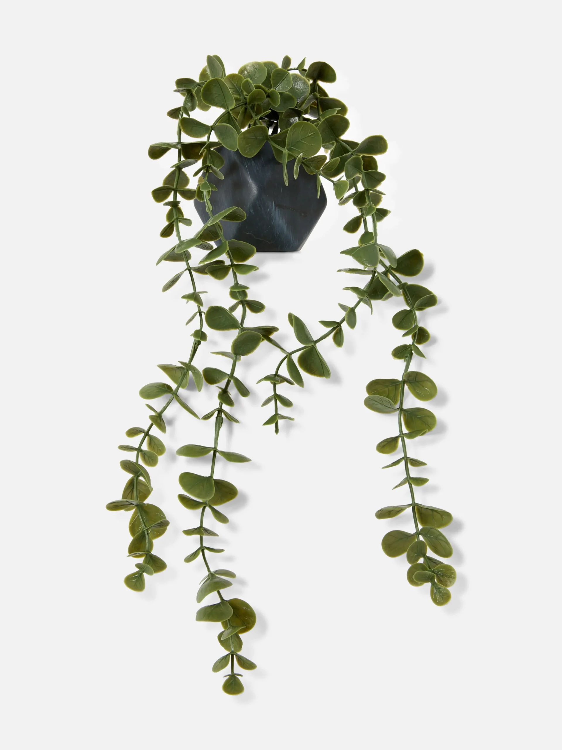 Succulente Artificielle Suspendue Dans Pot Géométrique
