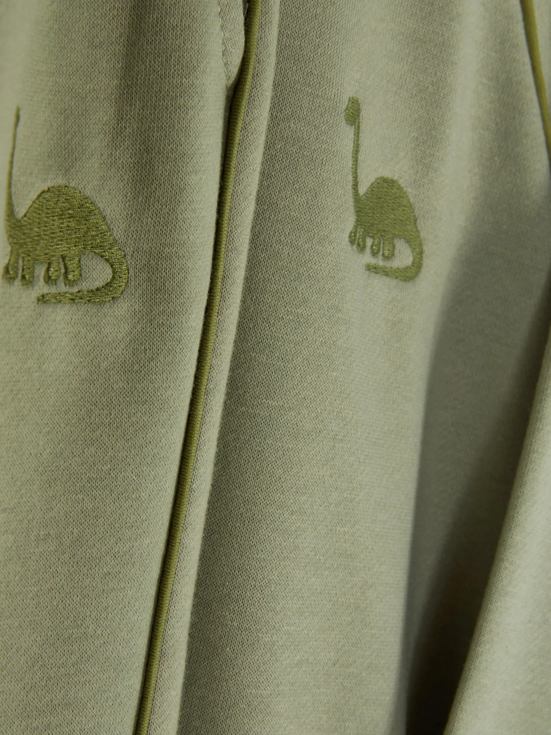 Sweat-shirt Et Bas De Jogging Dinosaure Coordonnés