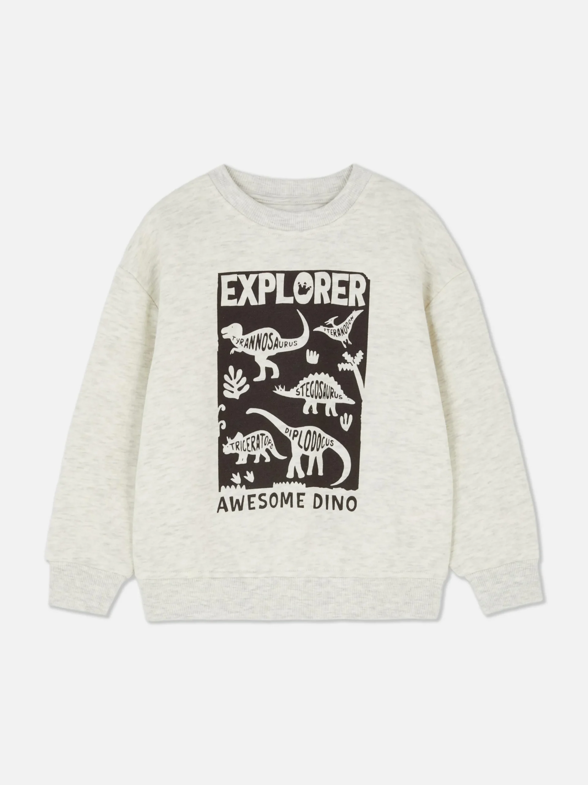 Sweat-shirt Ras-du-cou Graphique