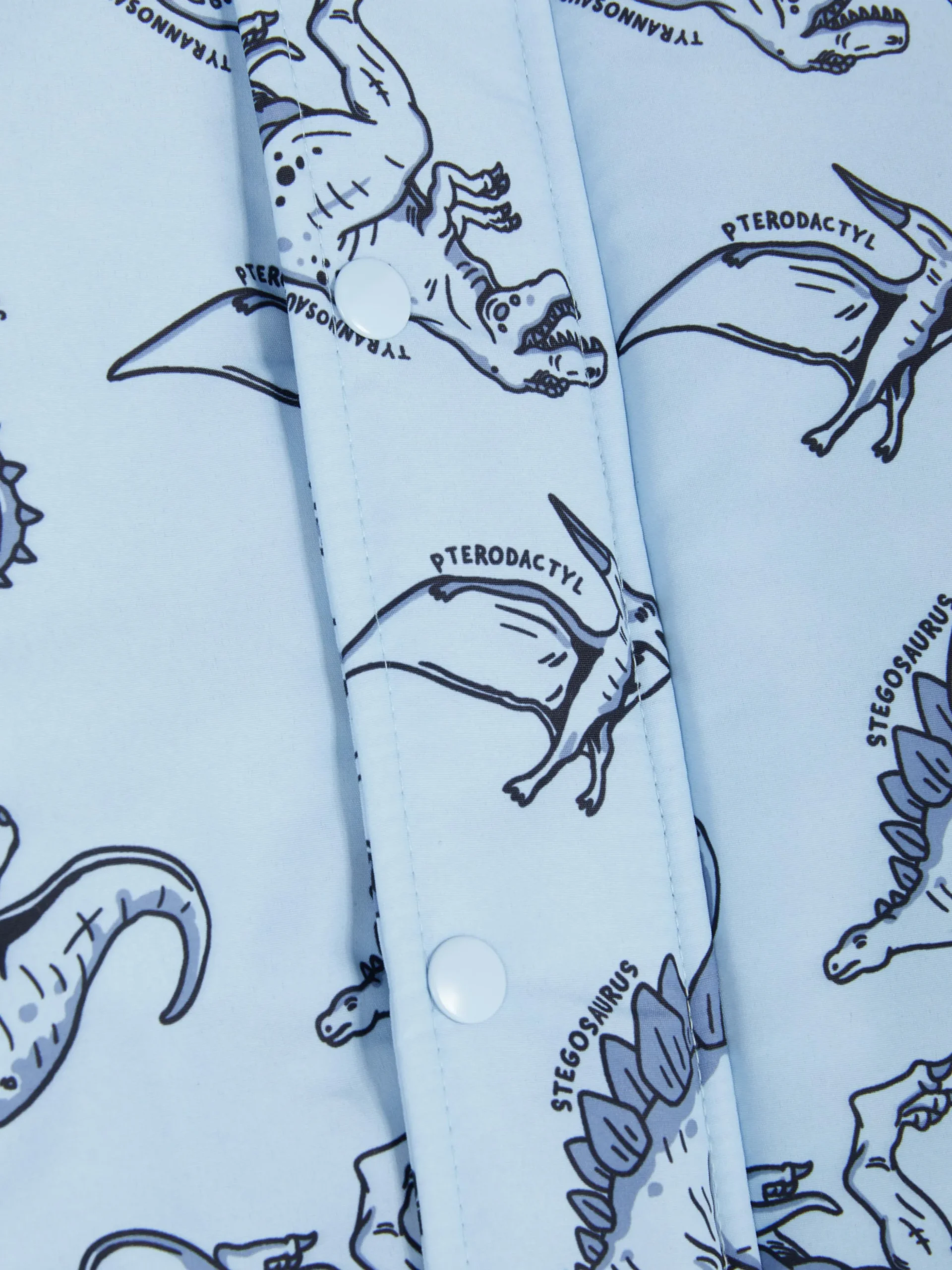 Veste De Pluie à Motif Dinosaure